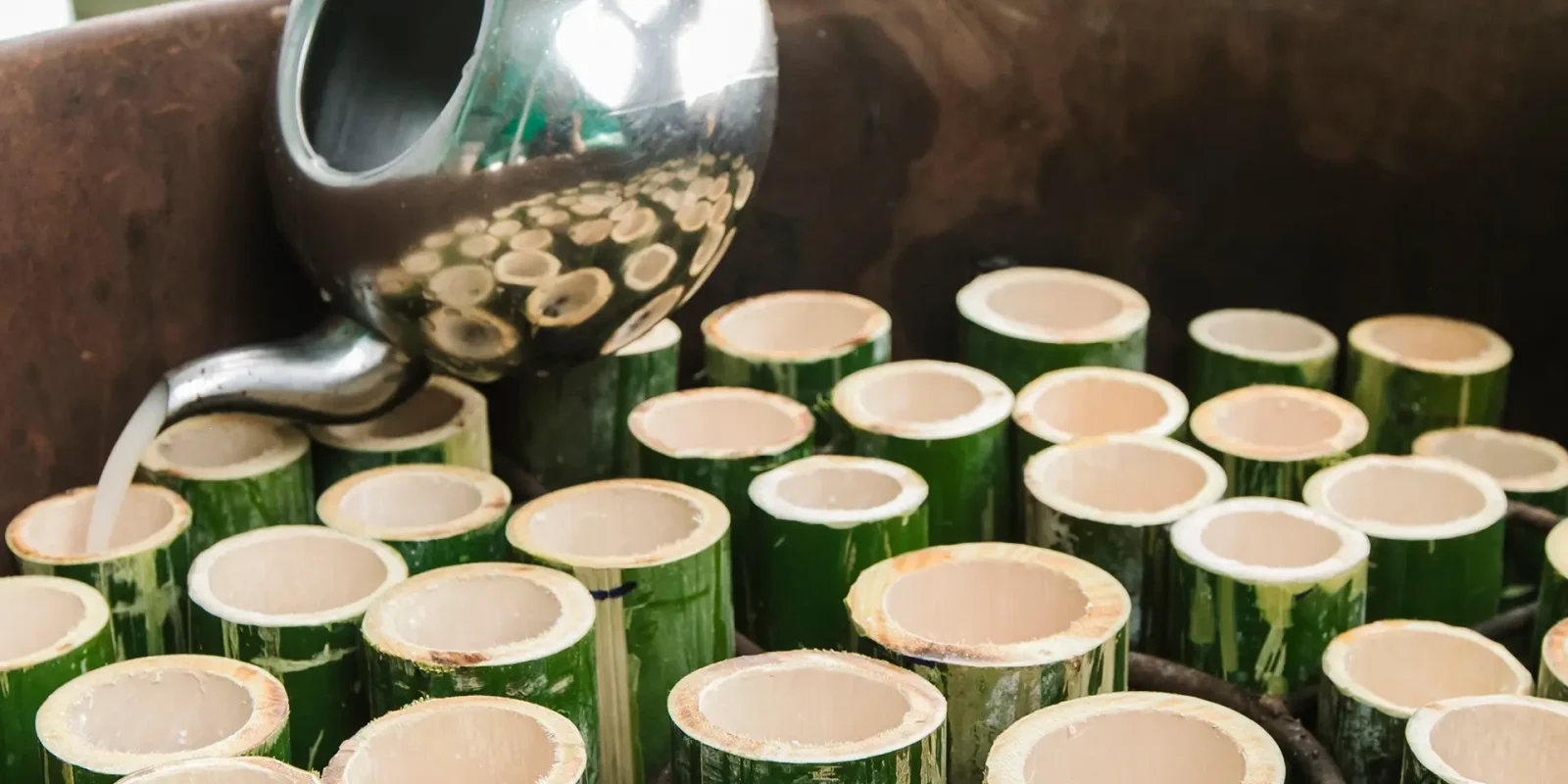 616351262_1363015275624561_6601491888026070630_n